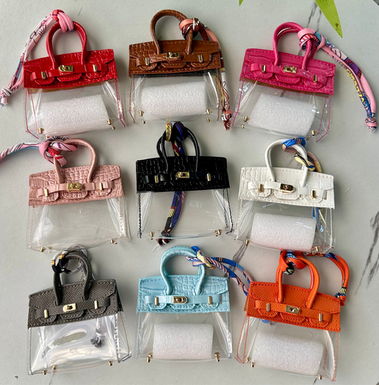 Mini Hermes Birkin (Transparent)
