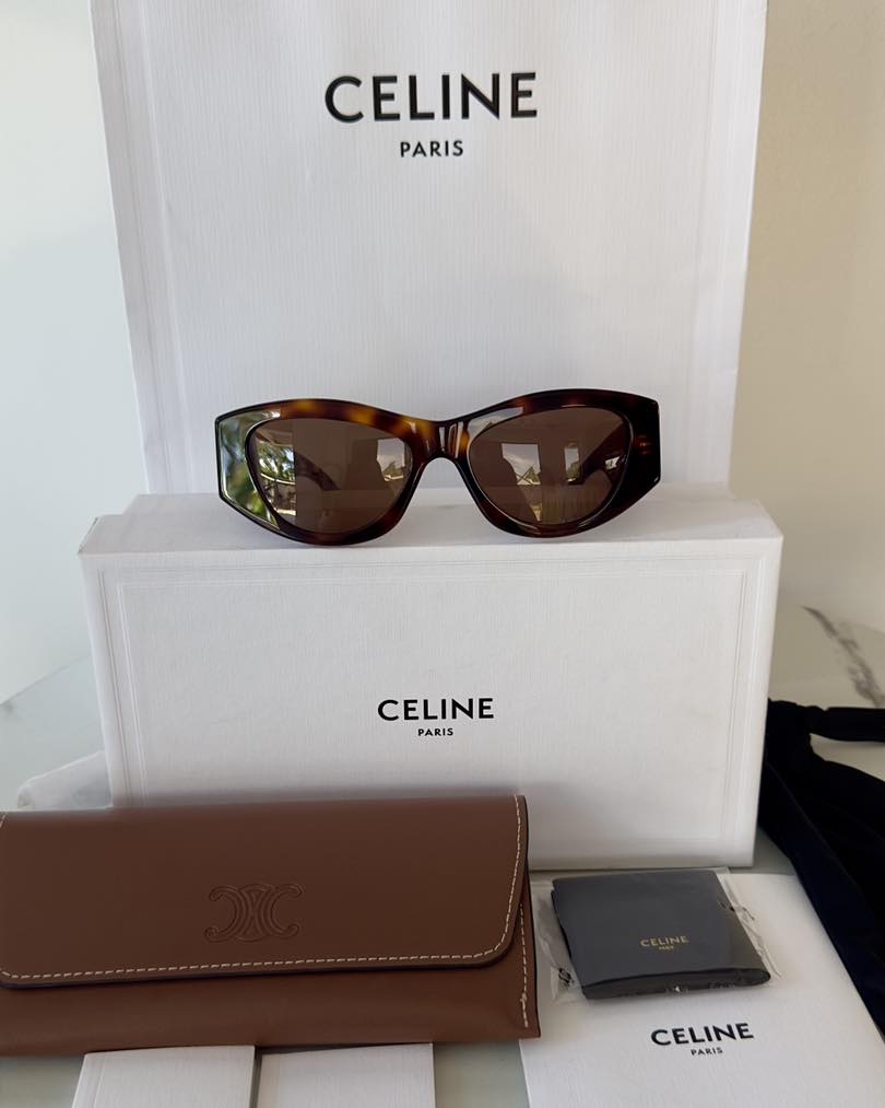 Celine Triomphe 15 in Acetate Sunglasses