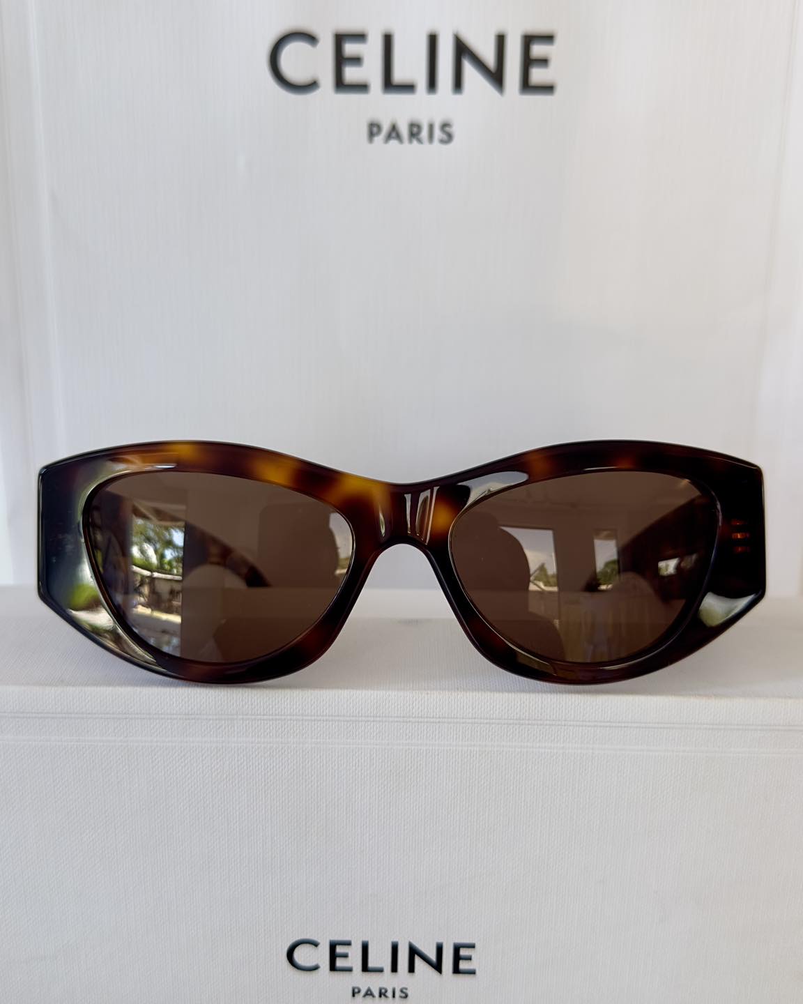 Celine Triomphe 15 in Acetate Sunglasses