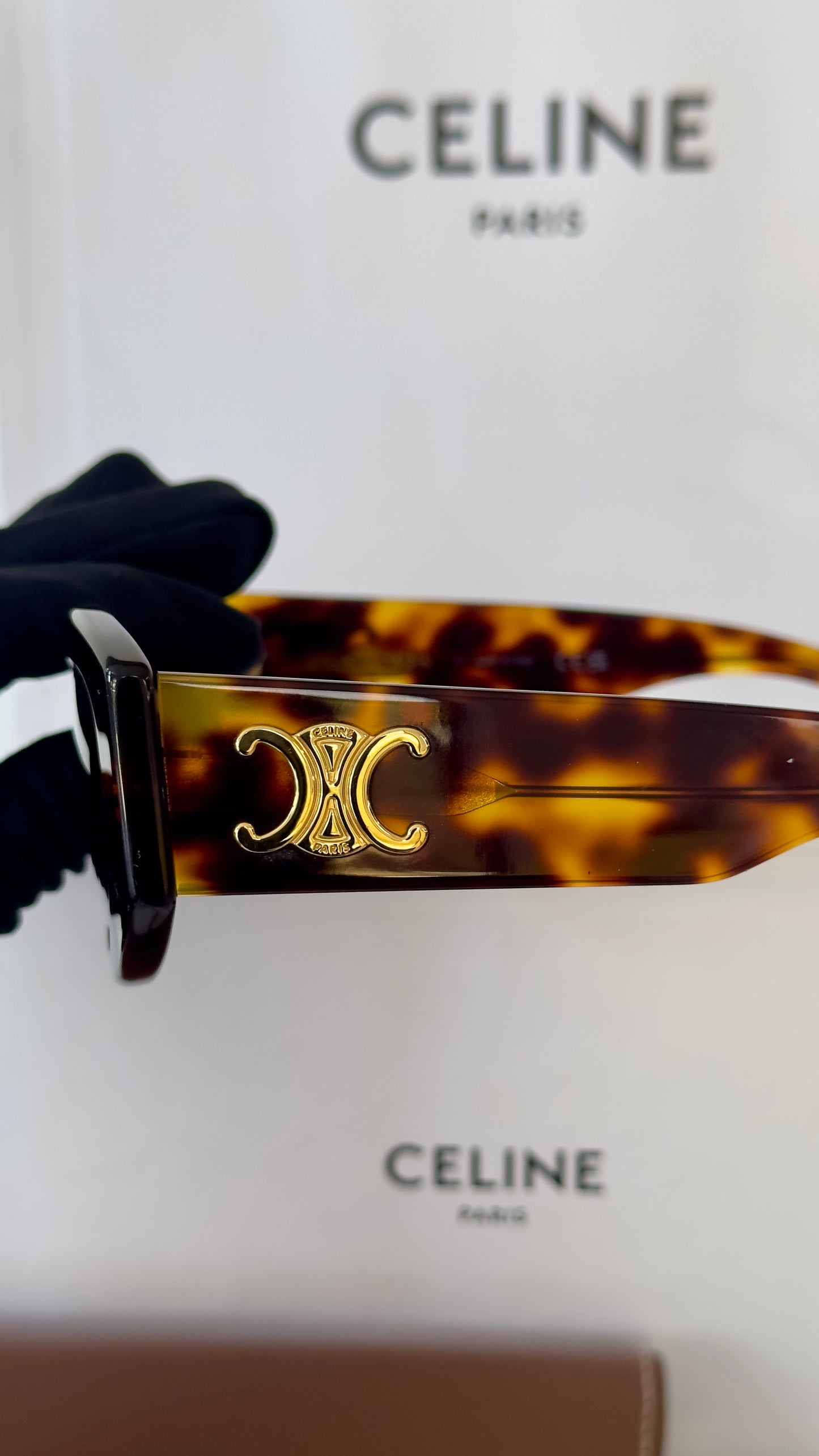Celine Triomphe 15 in Acetate Sunglasses