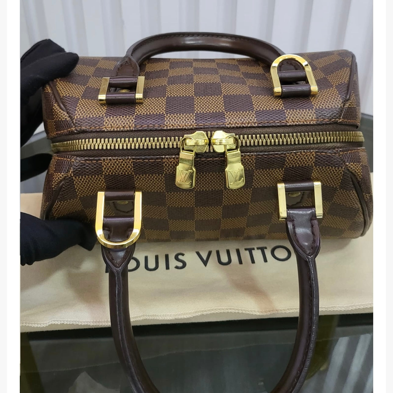 LV Damier Ebene Mini Ribera