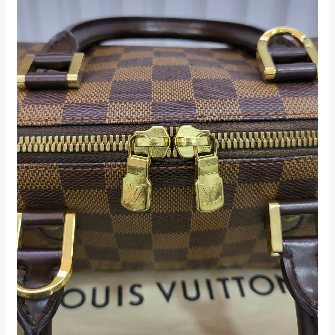 LV Damier Ebene Mini Ribera