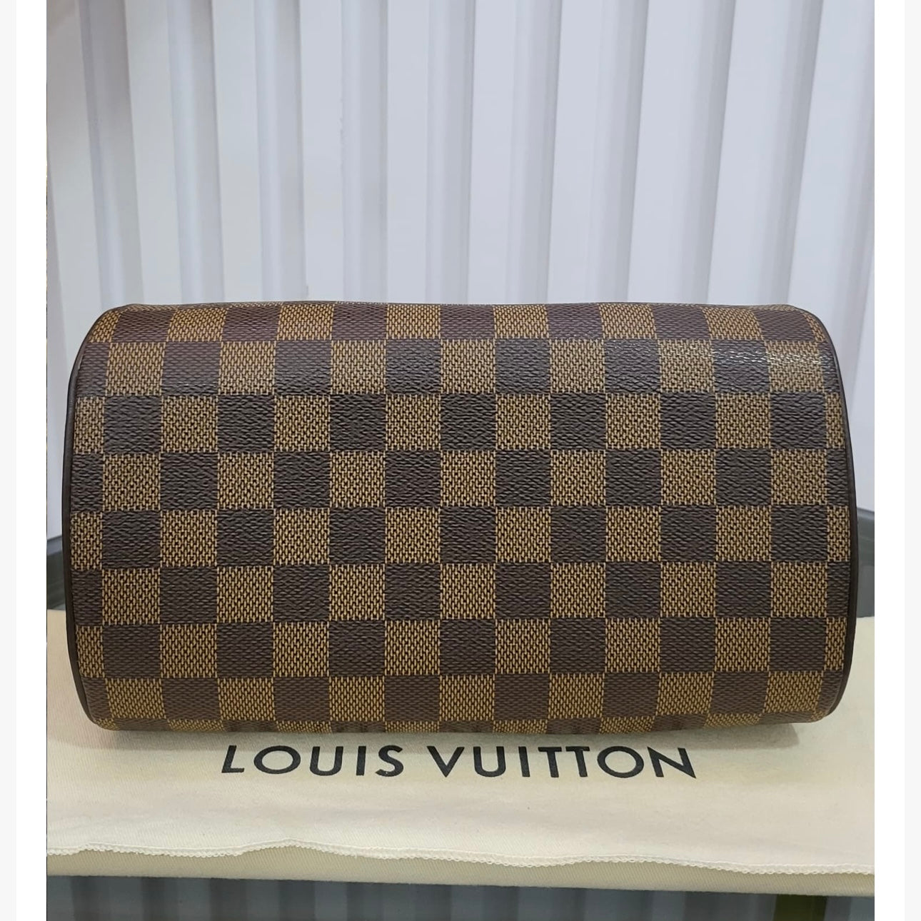 LV Damier Ebene Mini Ribera
