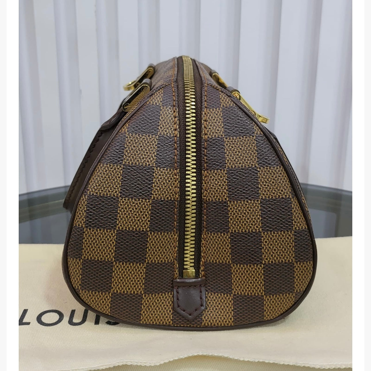 LV Damier Ebene Mini Ribera