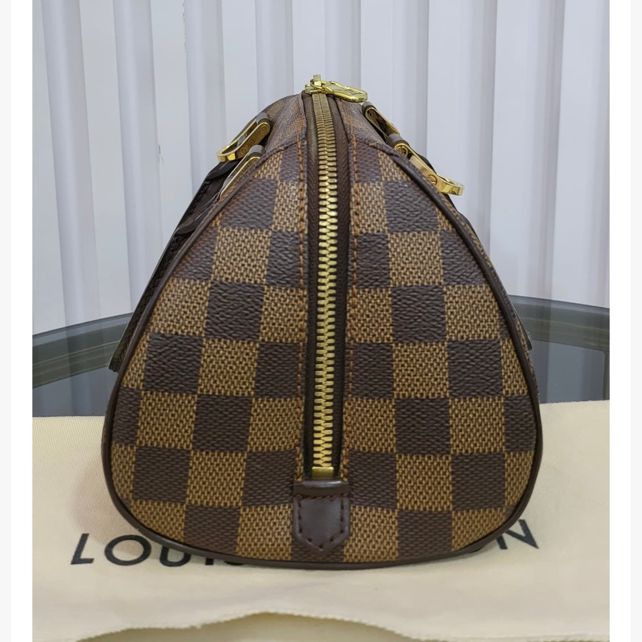 LV Damier Ebene Mini Ribera