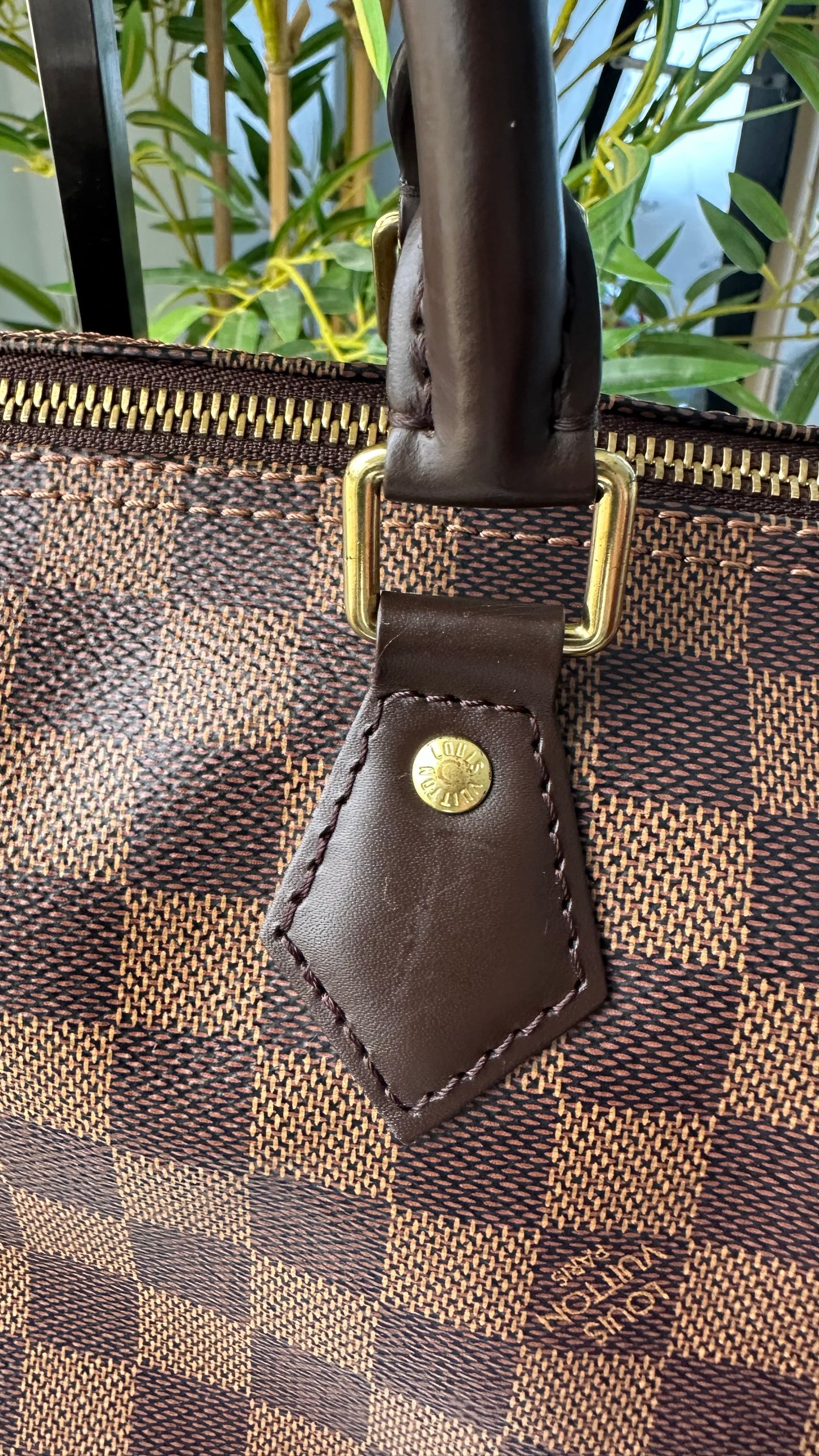 LV Classic Speedy 30 (Microchipped)