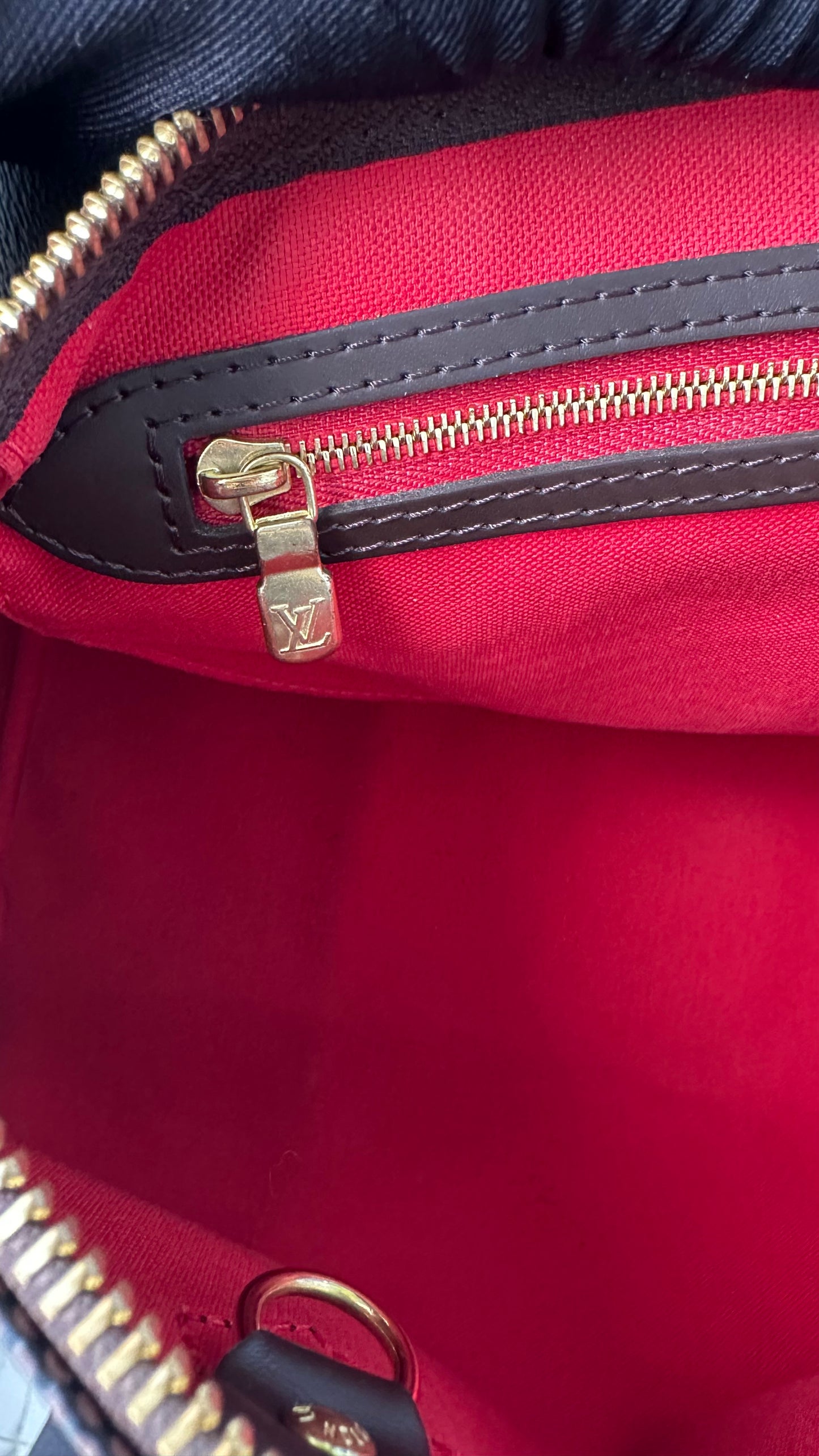 LV Classic Speedy 30 (Microchipped)