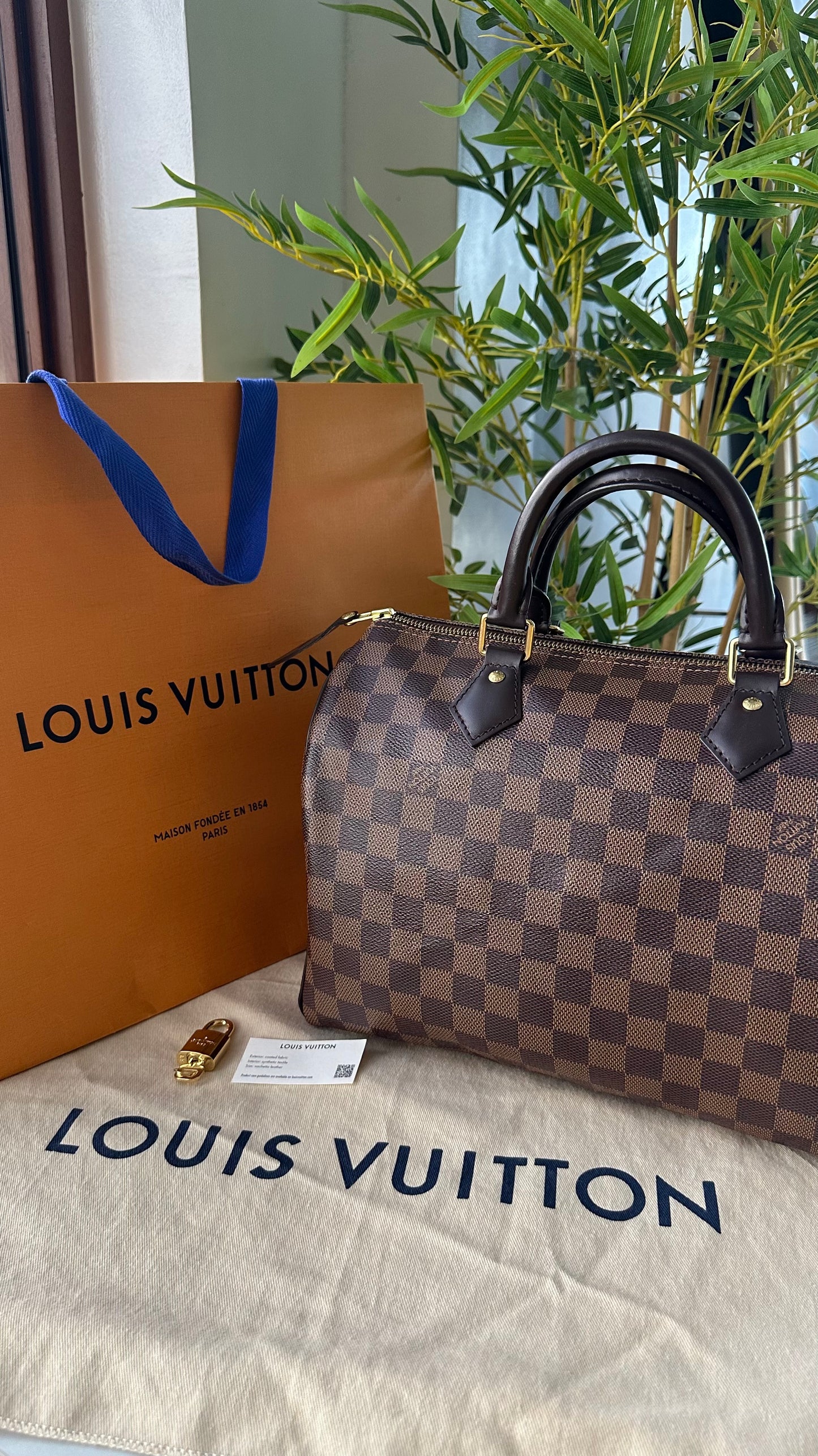 LV Classic Speedy 30 (Microchipped)