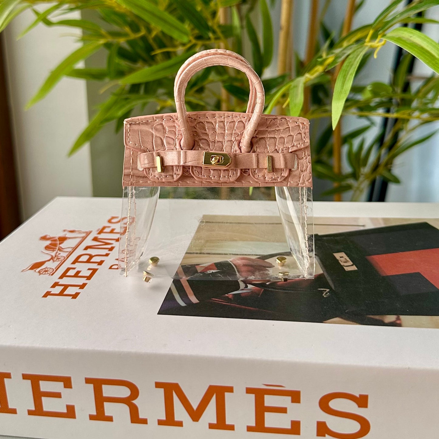 Mini Hermes Birkin (Transparent)