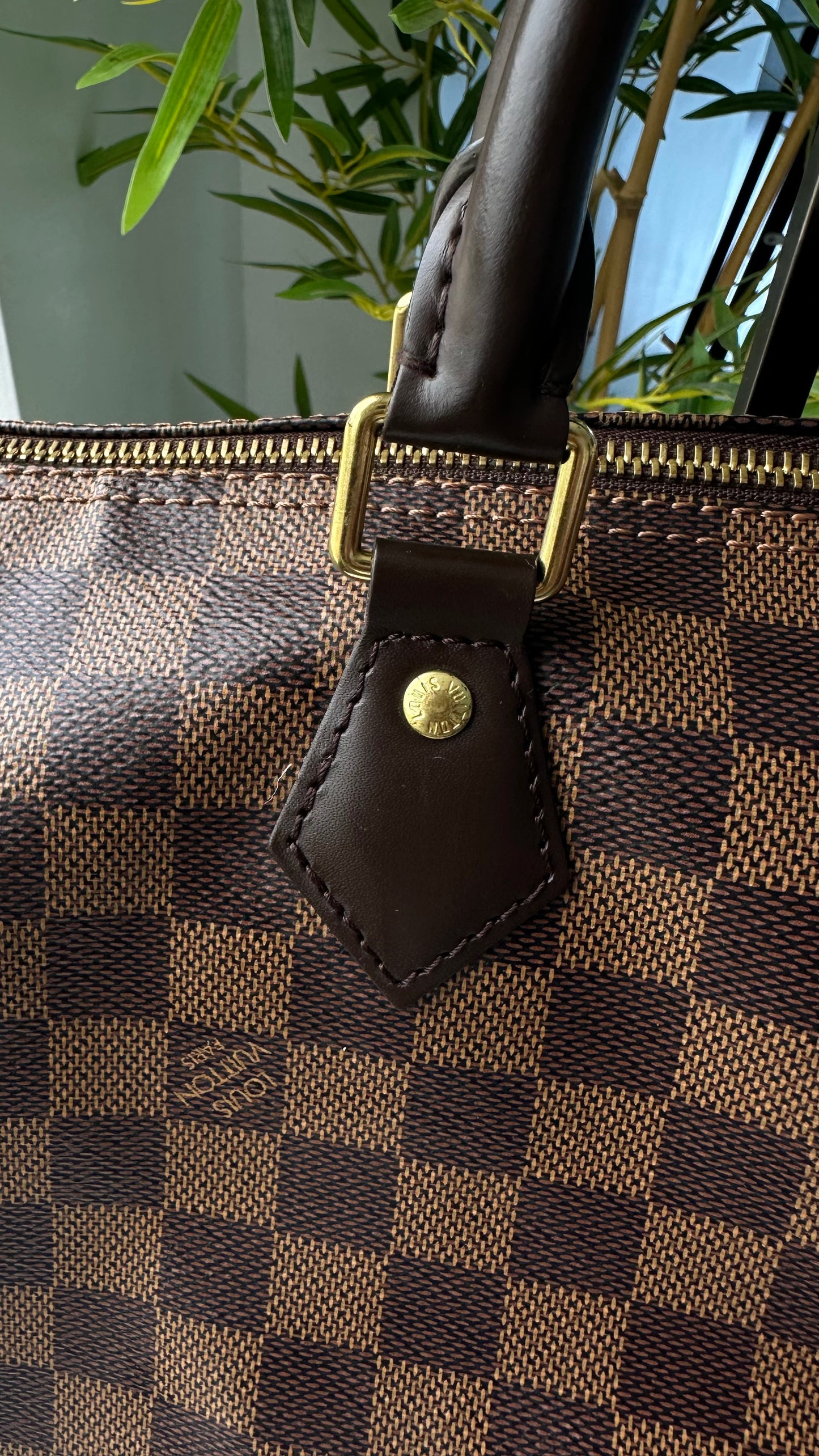 LV Classic Speedy 30 (Microchipped)