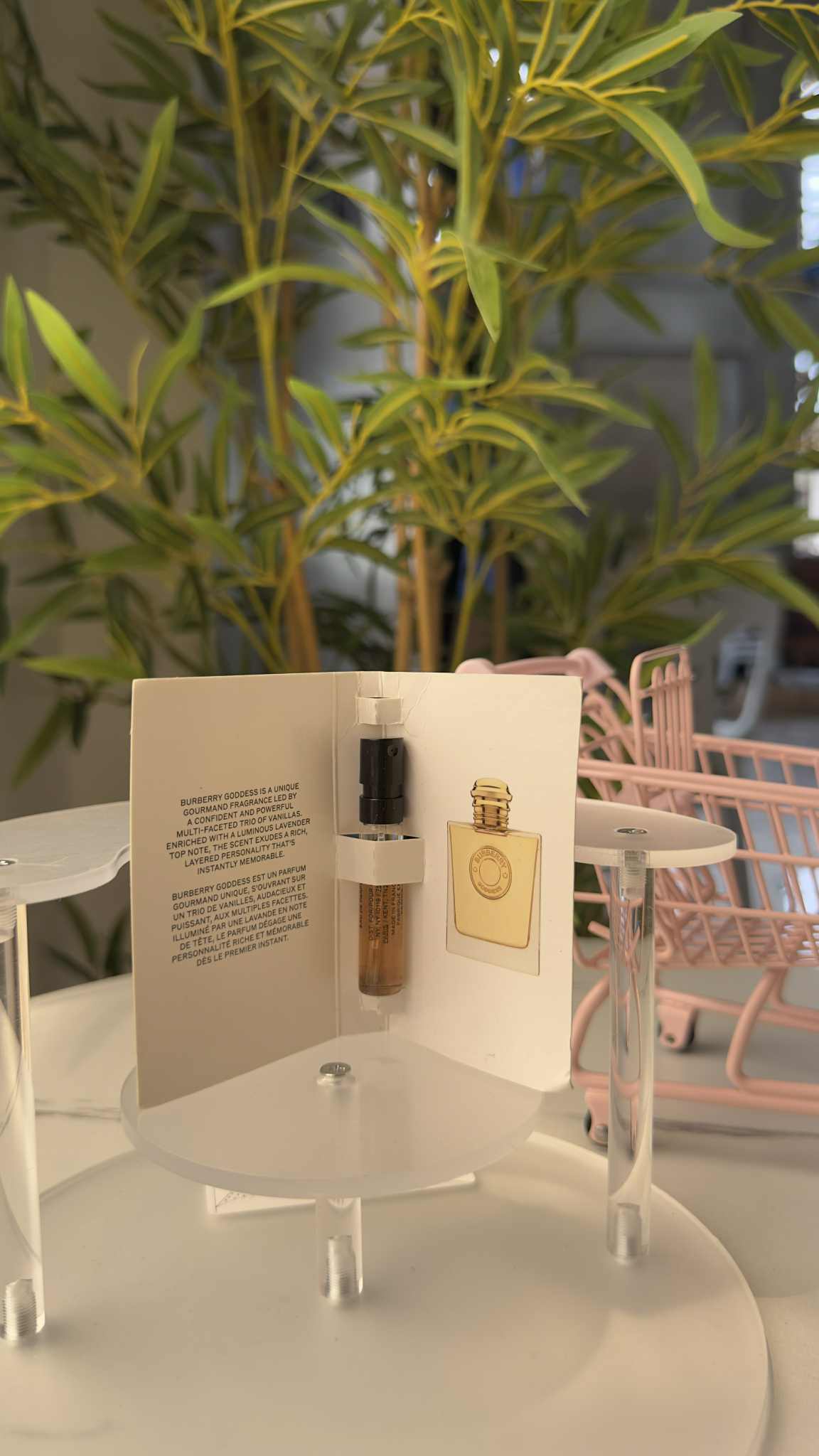 Assorted Perfume in Vial